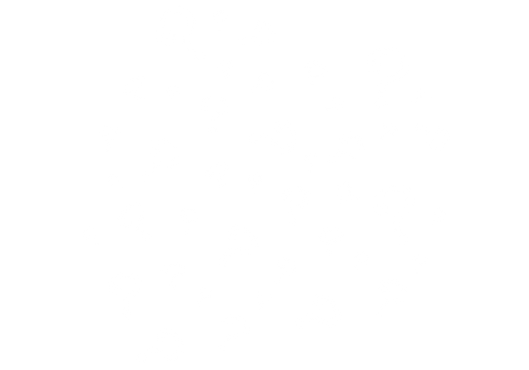 Mystery Item