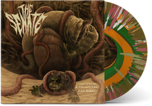 Load image into Gallery viewer, The Senate - Tales of a Galaxy Far, Far Away Swallowed By The Vortex Vinyl
