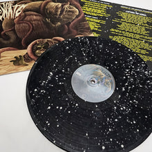 Load image into Gallery viewer, The Senate - Tales of a Galaxy Far, Far Away Galaxy Fill Vinyl
