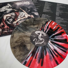 Load image into Gallery viewer, Snake Father - &quot;Concepts of Torture&quot; Heretic&#39;s Split Vinyl
