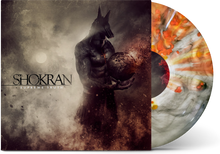 Load image into Gallery viewer, Shokran - &quot;Supreme Truth&quot; Mystery Vinyl
